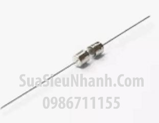 Tên hàng: Cầu chì 1A 250V ổng thủy tinh 3.6x10mm chân cắm hàn mạch; Mã: F1A250V3.6x10